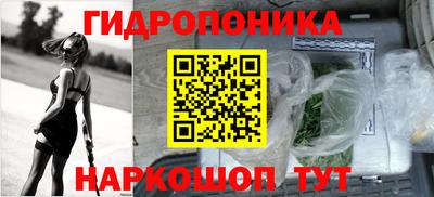 гидропоника Будённовск