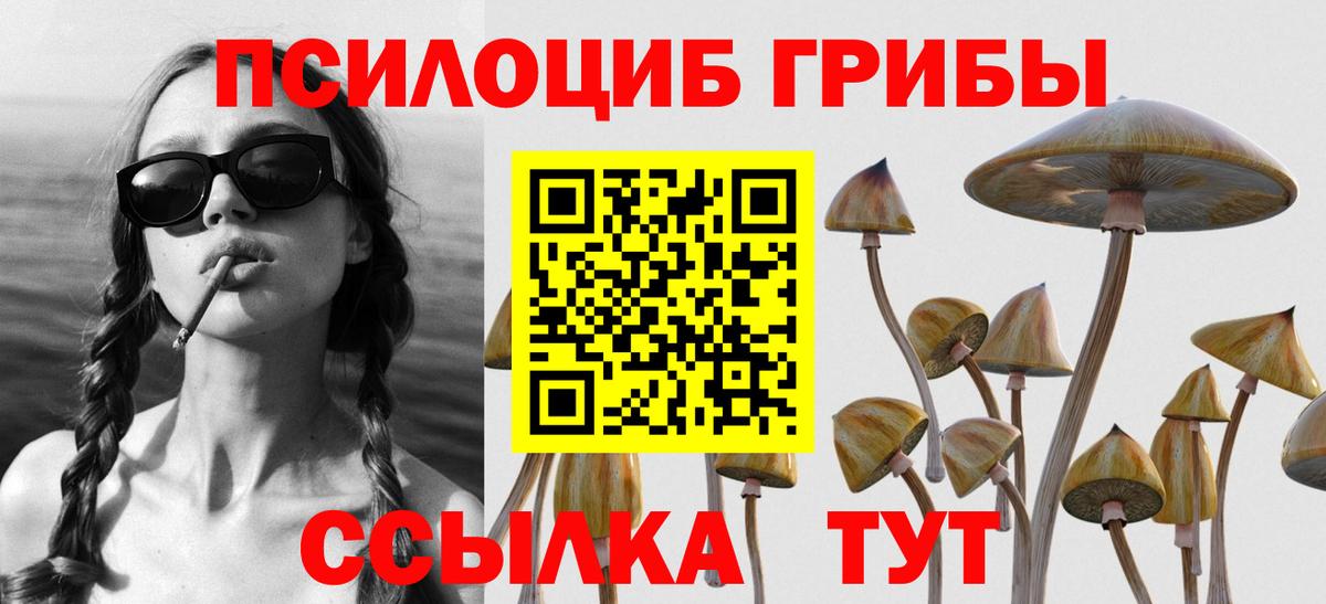 Белгород  купить закладку  Вход с VPN  Псилоцибиновые грибы прущие грибы 